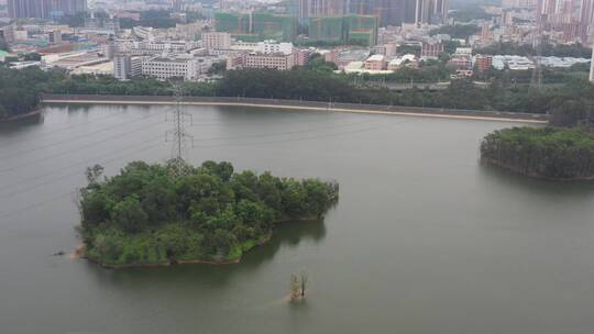 航拍深圳龙华区观澜河流及城区绿化