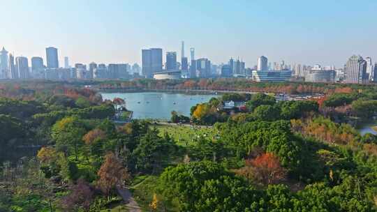 上海世纪公园秋景