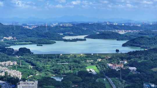 深圳水库 莲塘地区航拍