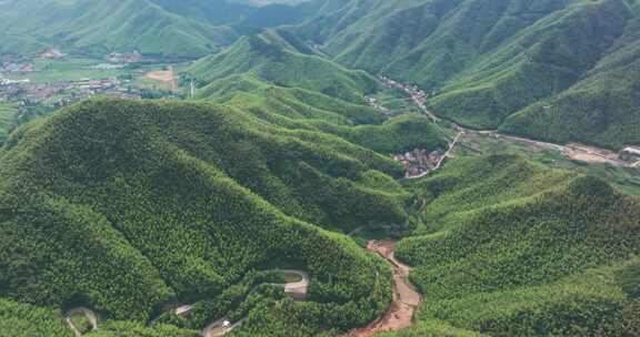 江南群山竹山竹海浙江湖州安吉风光