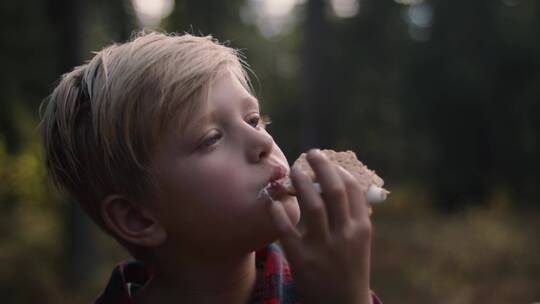 男孩在露营时吃烤棉花糖饼干