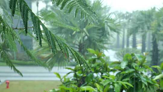 暴雨 雨天 下雨 情绪 雨滴