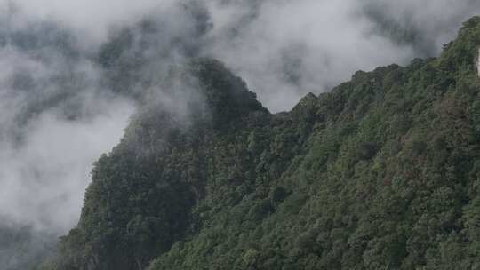 森林湖泊云海山川山脉云雾缭绕 青山绿水