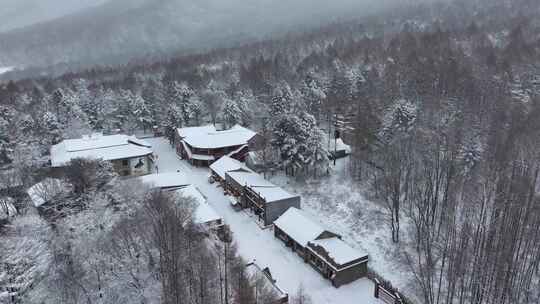 航拍东北下暴雪林海雪原威虎山影视城