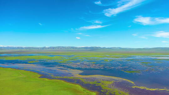 甘南碌曲尕海湖夏季4K航拍视频素材模板下载