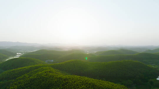 航拍台山森林逆光高拍