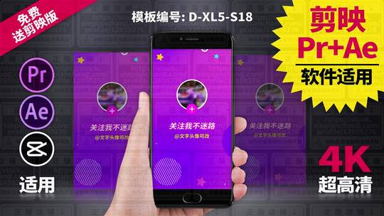 结尾关注视频模板Pr+Ae+抖音剪映 D-XL5-S18AE视频素材教程下载