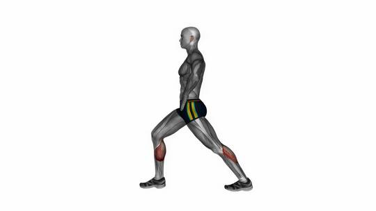弓步直腿伸小腿健身运动3D演示动画视频素材模板下载