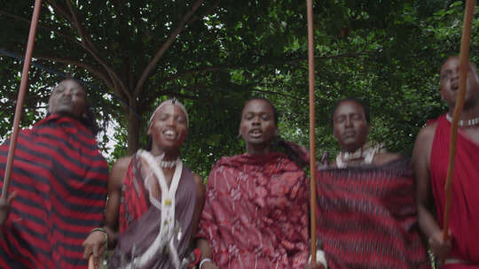 非洲马赛人穿传统服装跳舞唱歌