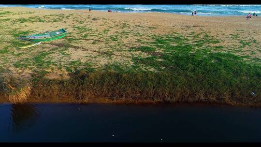 海边沙滩游客海水海浪海岸线绿色植被覆盖2