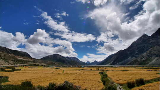 西藏林芝青稞地湖泊远山4K延时摄影