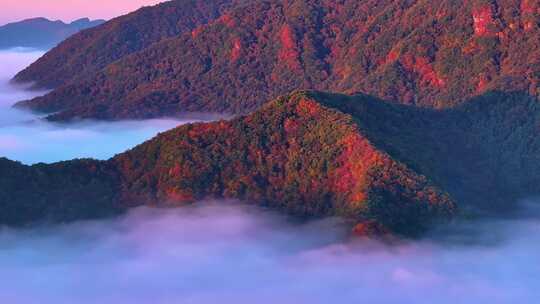 大气震撼日出云海朝阳希望片头