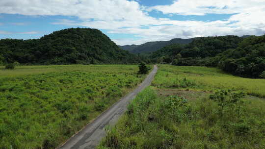 道路流经牙买加农村丛林