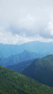 竖版航拍湖北神农架5A景区天际岭云海