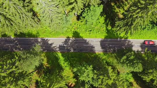 航拍森林中的道路