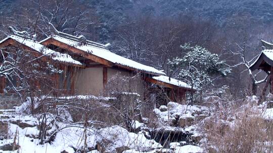 雪庵与大山