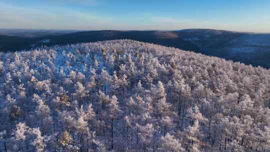 林海雪原 唯美高山雾凇