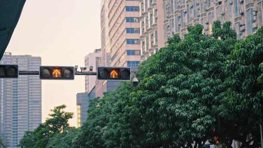 红绿灯城市街道晚高峰路人早十字路口行人