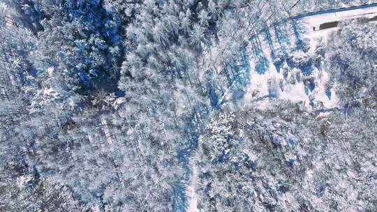 陕西秦岭分水岭雾凇冰挂雪景