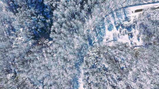 陕西秦岭分水岭雾凇冰挂雪景视频素材模板下载