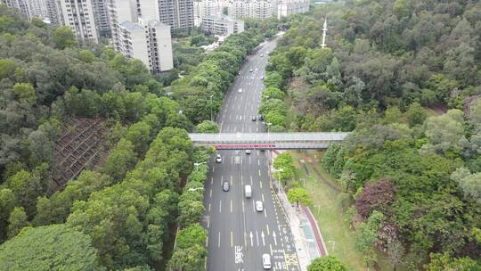 林间公路