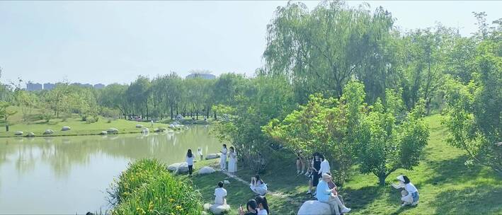 夏季公园游客拍照欣赏风景