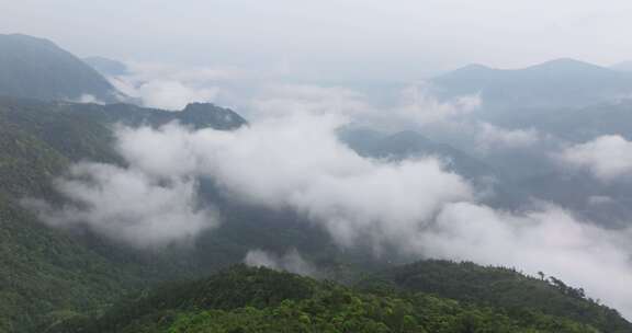 航拍早晨广东茂名信宜石镬坳云雾缭绕的山峦