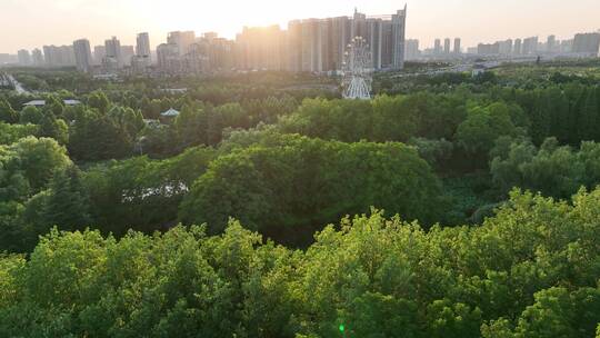 洛阳隋唐植物园游乐场晚霞唯美公园城市下班