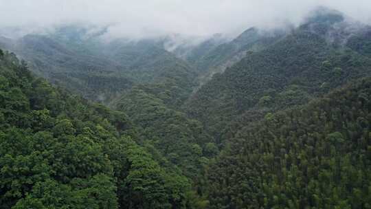 湖北咸宁通城