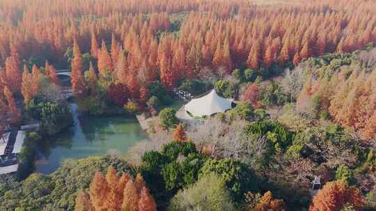 上海东平国家森林公园知青广场