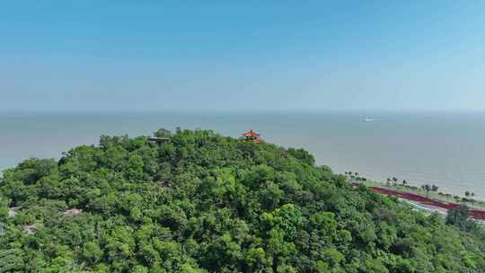 山峰大海航拍山海森林树林海岸线风光风景