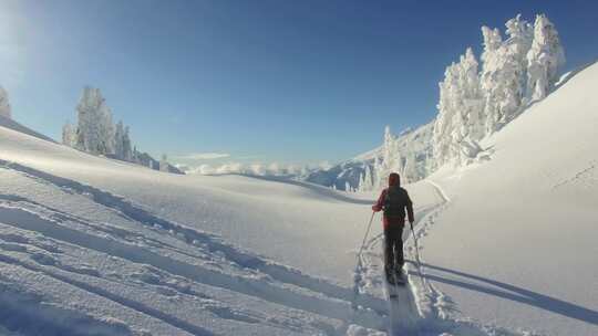 North Cascades，山脉，国家