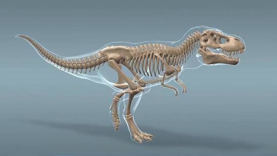侏罗纪 霸王龙 远古时期 博物馆 动物园