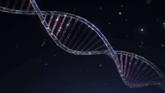 科技信息化数据DNA