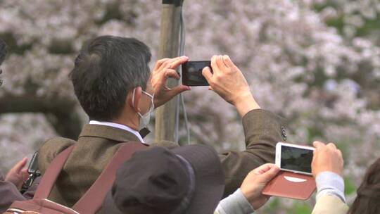 用智能手机拍照的游客