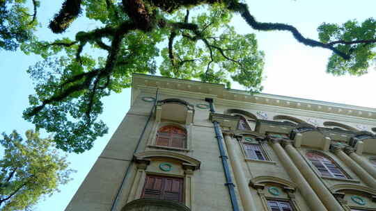 广州老街沙面大街历史景观欧式建筑