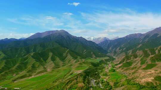 新疆是个好地方吉姆萨