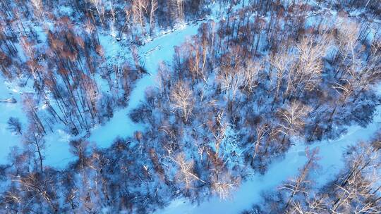 航拍大兴安岭林海雪原景色