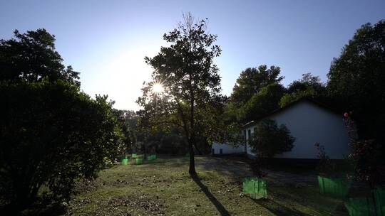 杭州西湖景区植物园