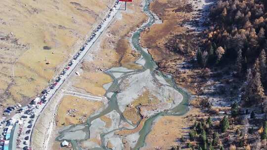 秋天四川阿坝理小路大二普营地航拍合集