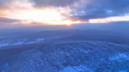 极寒雪原森林雾凇美景合集