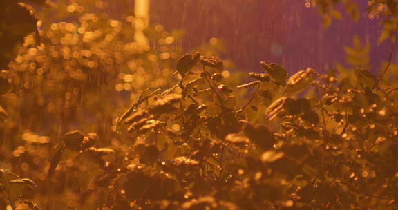 夜晚下雨雨景