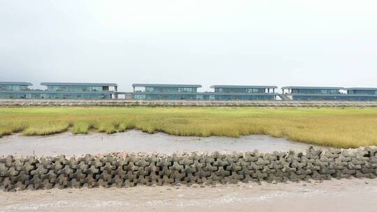 滴水湖 航拍 4K 草地湖面