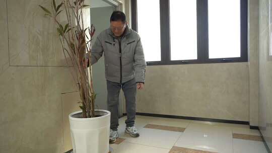 男子室内打理盆栽植物