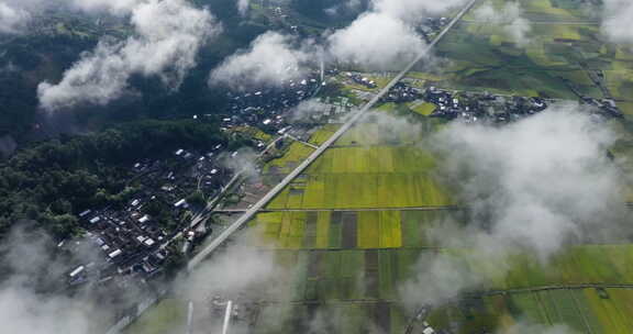 云雾下的乡村公路金黄稻田