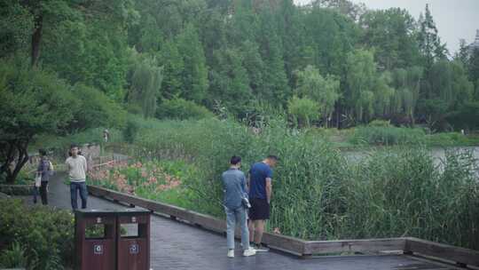 湖泊女孩湖面湖水公园水面阳光可爱绿色草地视频素材模板下载