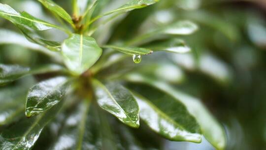 小区里下雨天的屋檐窗户