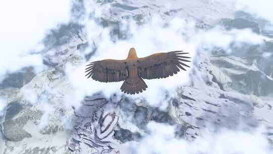 雄鹰飞过雪山视频素材模板下载