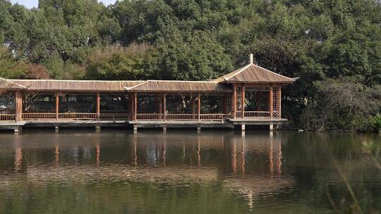 杭州西湖十景之一花港观鱼