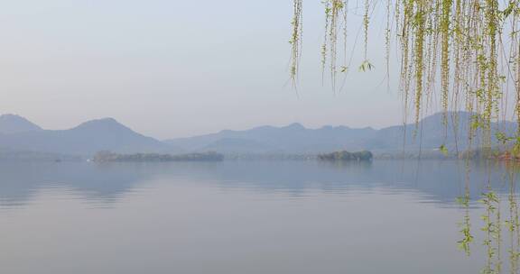 浙江省杭州市西湖清晨桃花樱花空镜